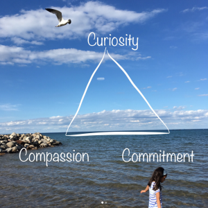 Curiosity, Compassion, Commitment